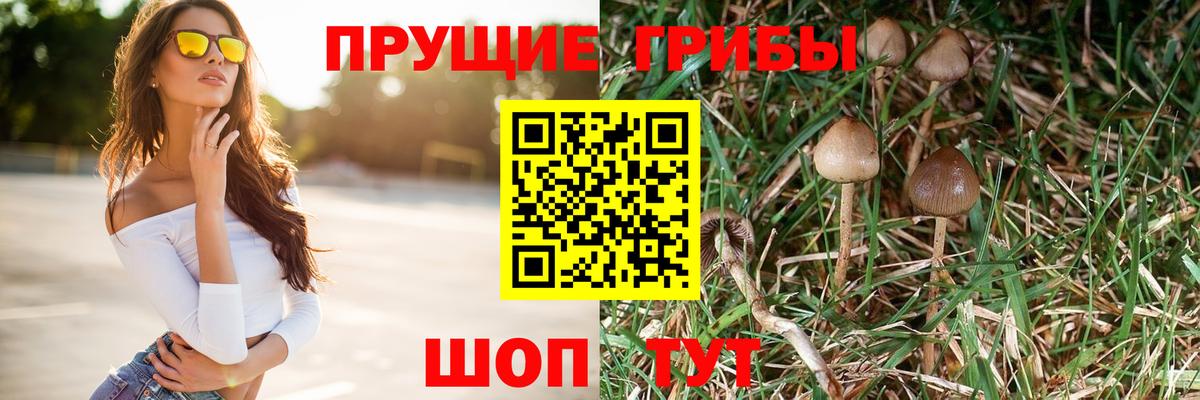 Псилоцибиновые грибы MAGIC MUSHROOMS Ахтубинск